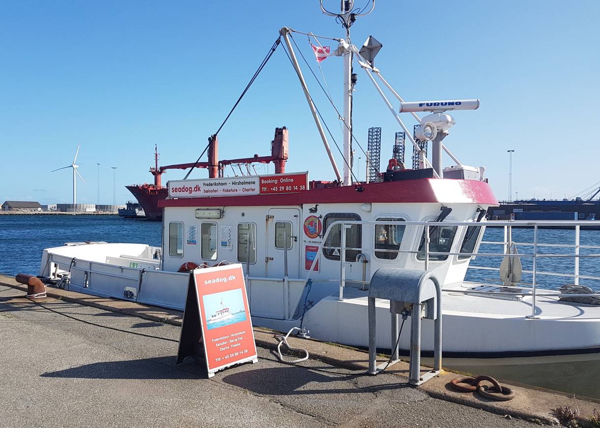 Kleiner, weiß-roter Kutter im Hafen