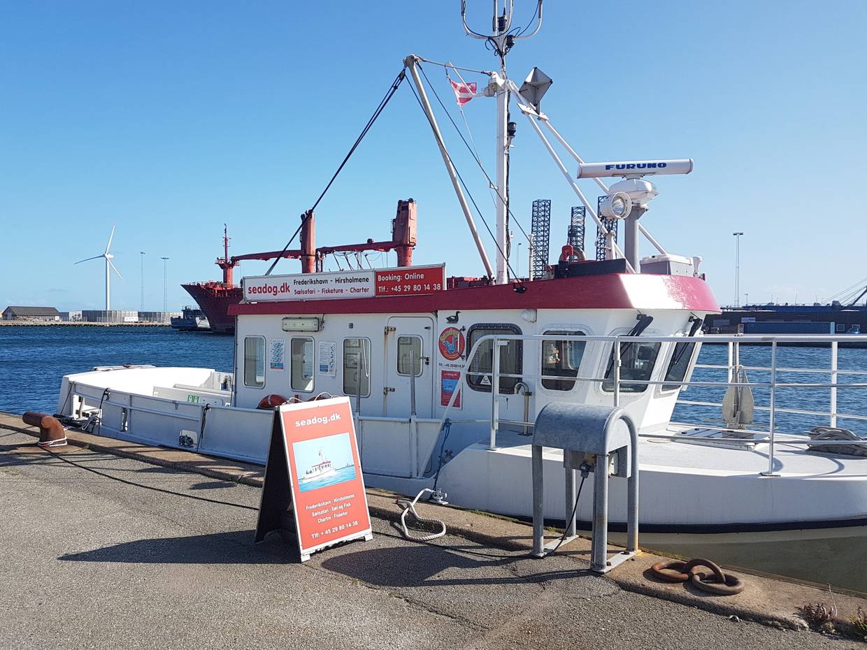Kleiner, weiß-roter Kutter im Hafen