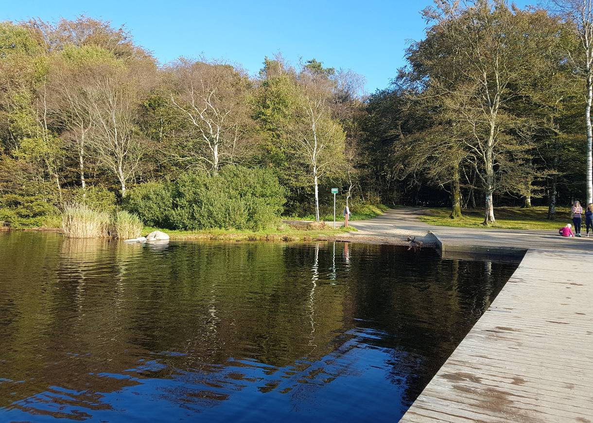 Blick vom Badesteg auf die Waldwege am See
