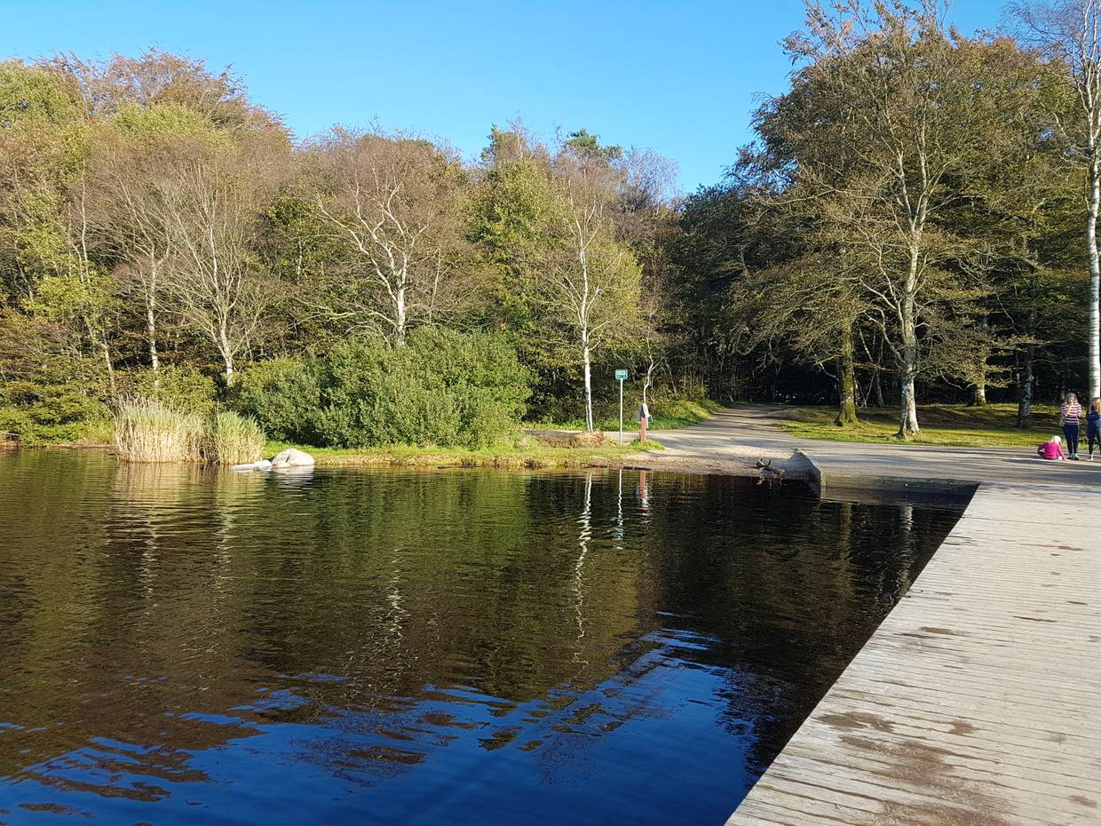 Blick vom Badesteg auf die Waldwege am See