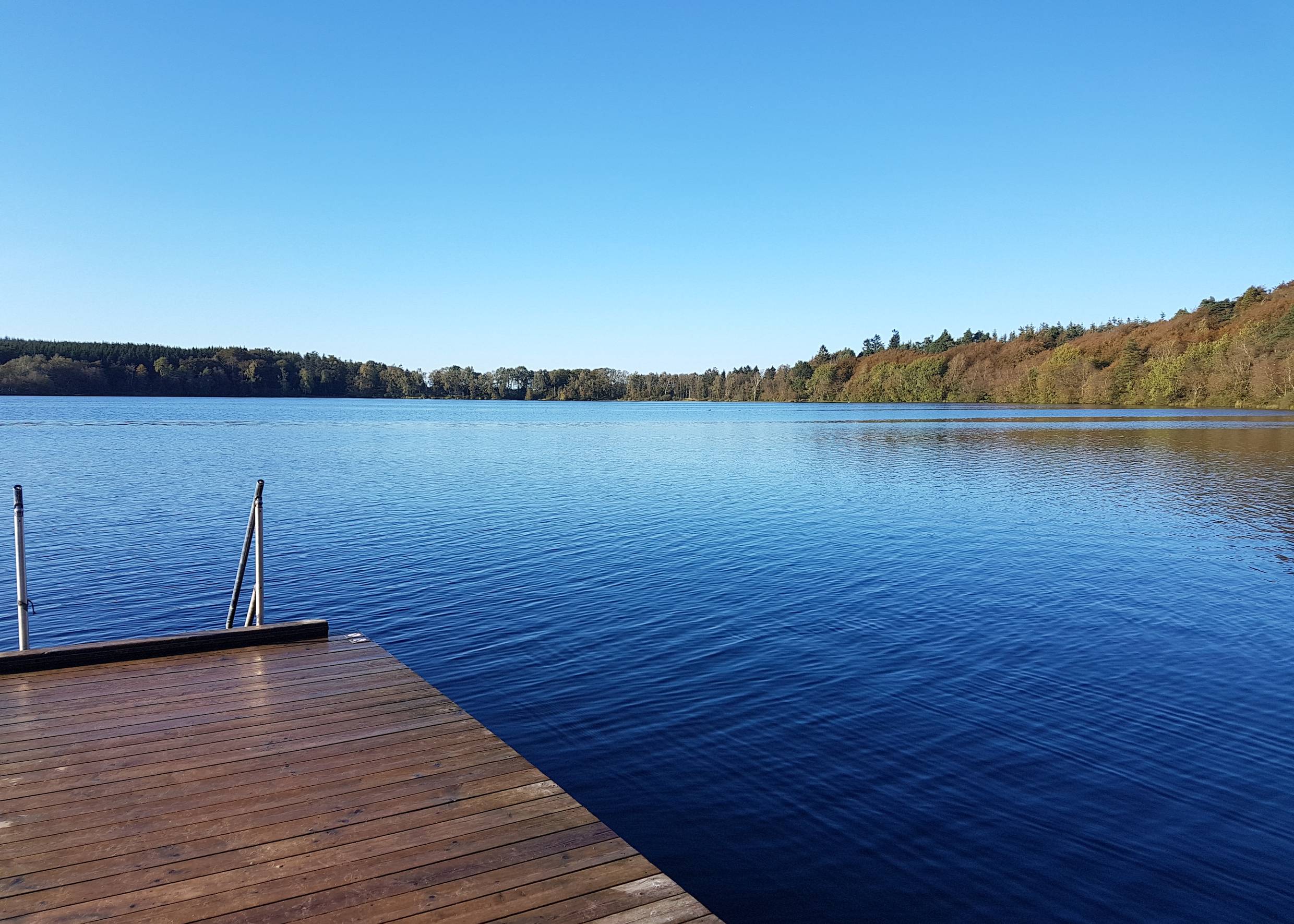 Badesteg an einem Waldsee