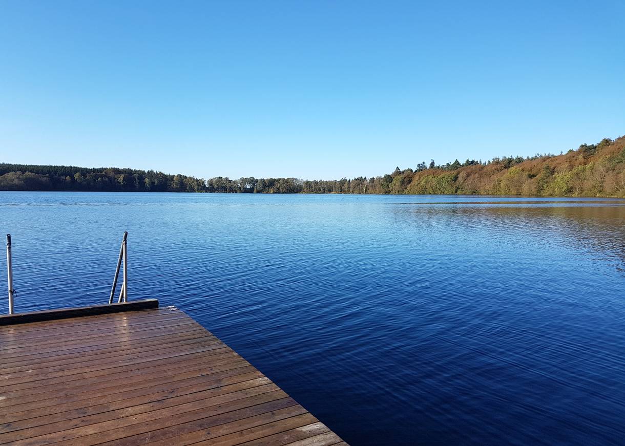 Badesteg an einem Waldsee
