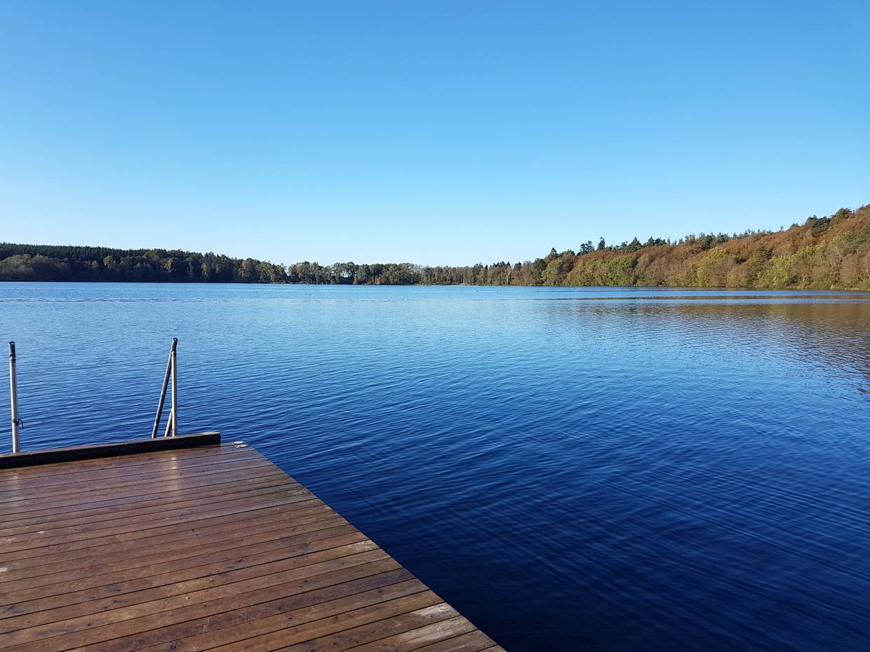 Badesteg an einem Waldsee