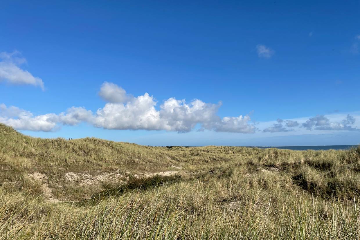Foto von Ålbæk Strand