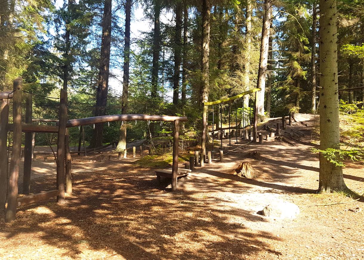 Hölzerne Kletterbahn und Bäumen