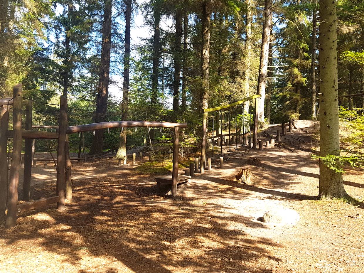 Hölzerne Kletterbahn und Bäumen