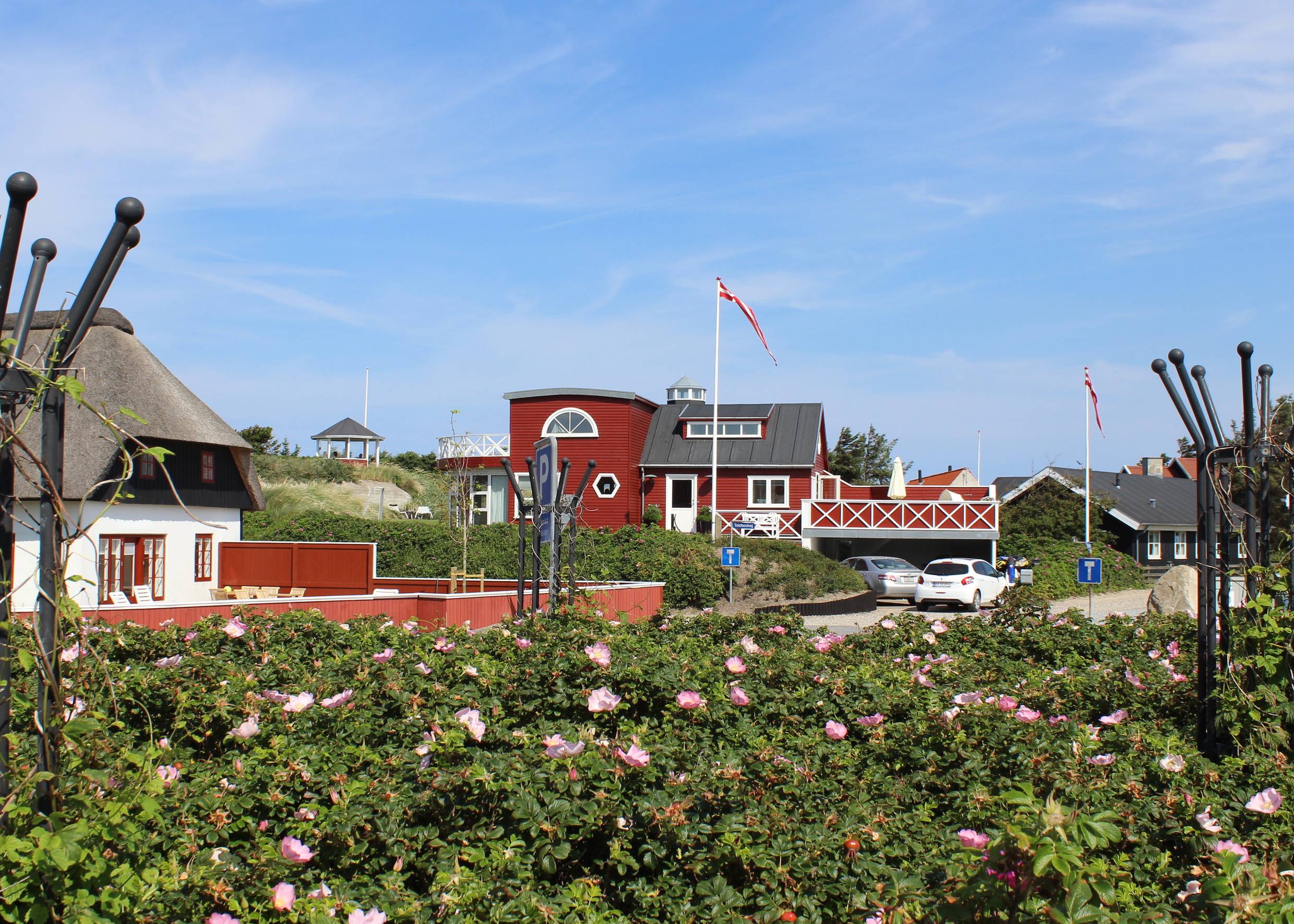 Rote und weiße Häuser zwischen Heckenrosen und Strandhafer
