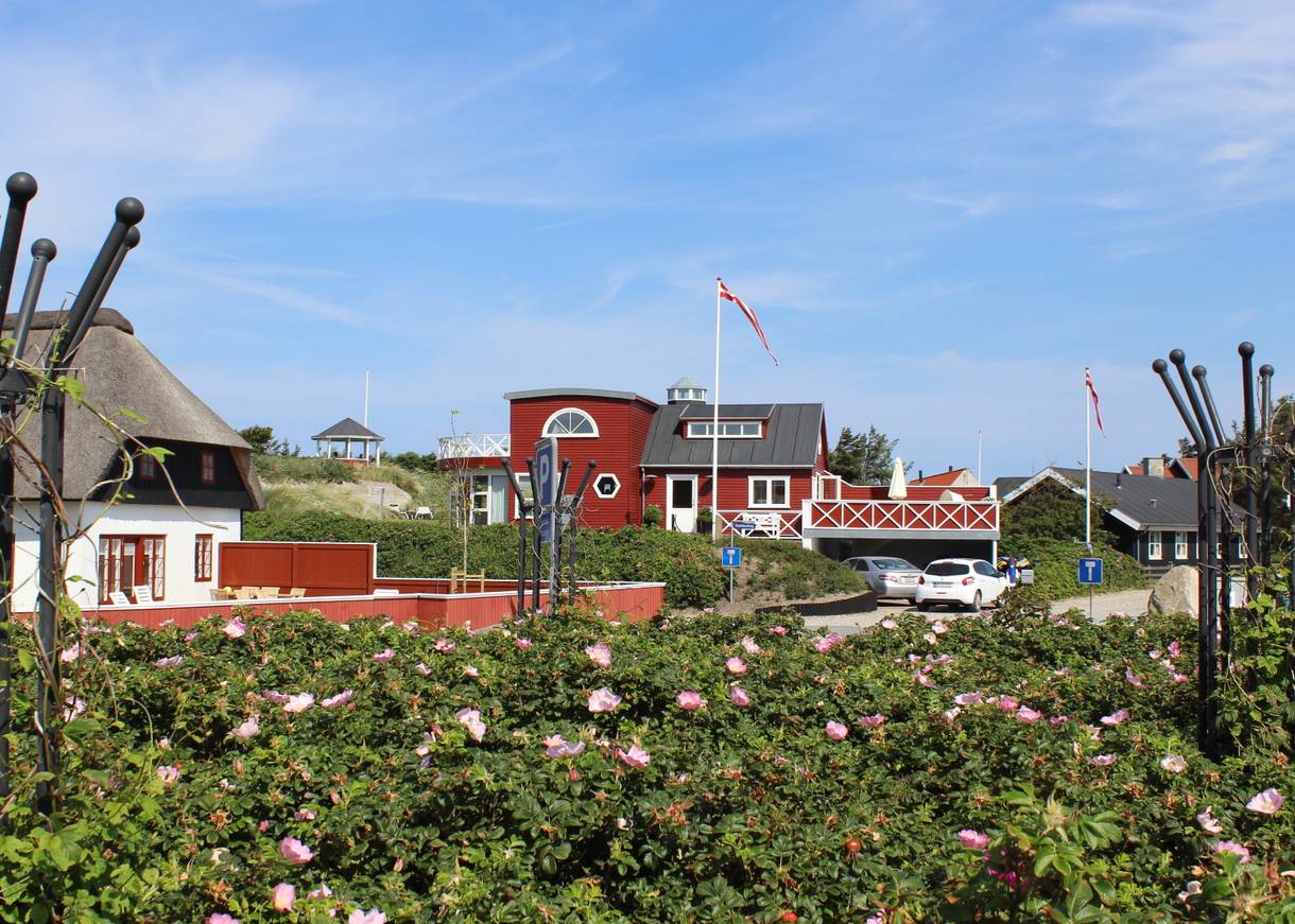 Rote und weiße Häuser zwischen Heckenrosen und Strandhafer