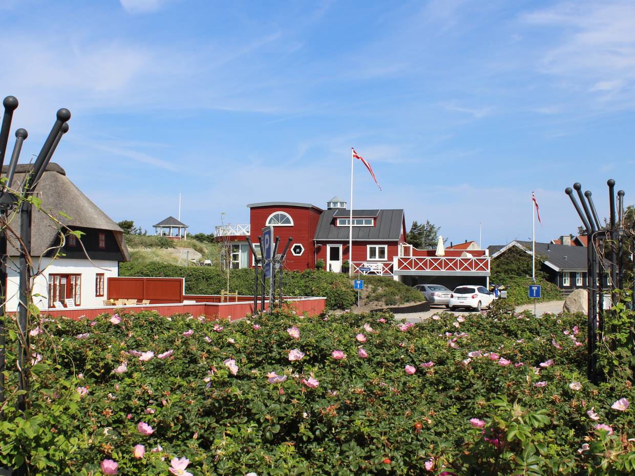 Rote und weiße Häuser zwischen Heckenrosen und Strandhafer
