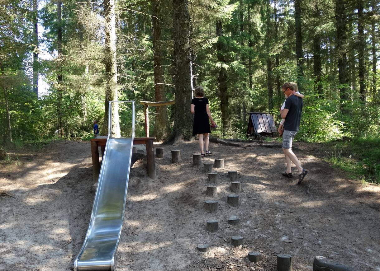 Rutsche an einem Hang unter Kiefern