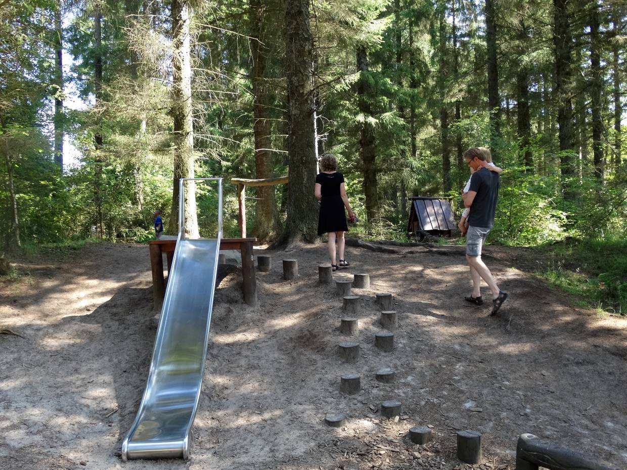 Rutsche an einem Hang unter Kiefern