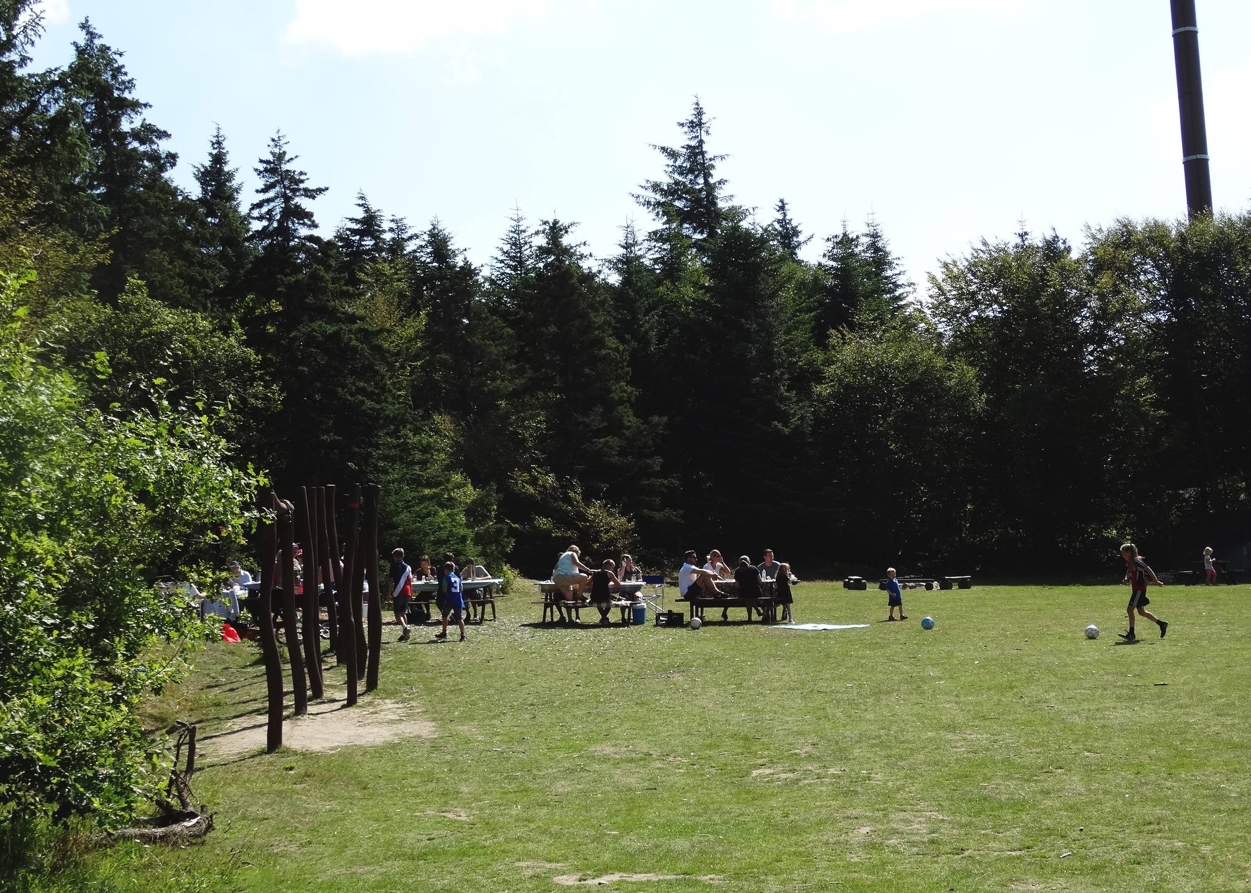 Spielwiese im Wald von Hune