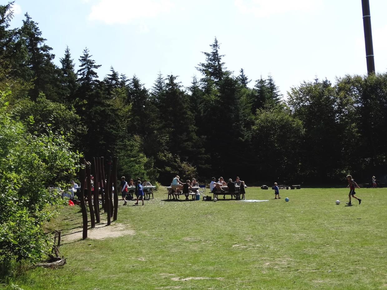 Spielwiese im Wald von Hune