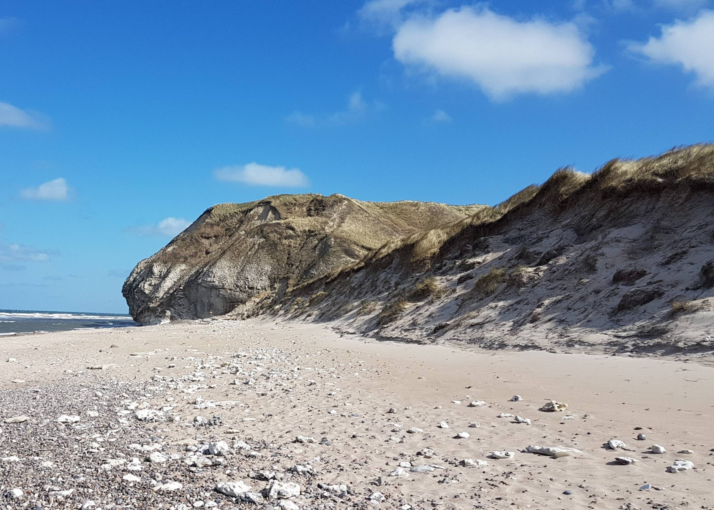 Blick auf einen buckeligen Felsen am Strand