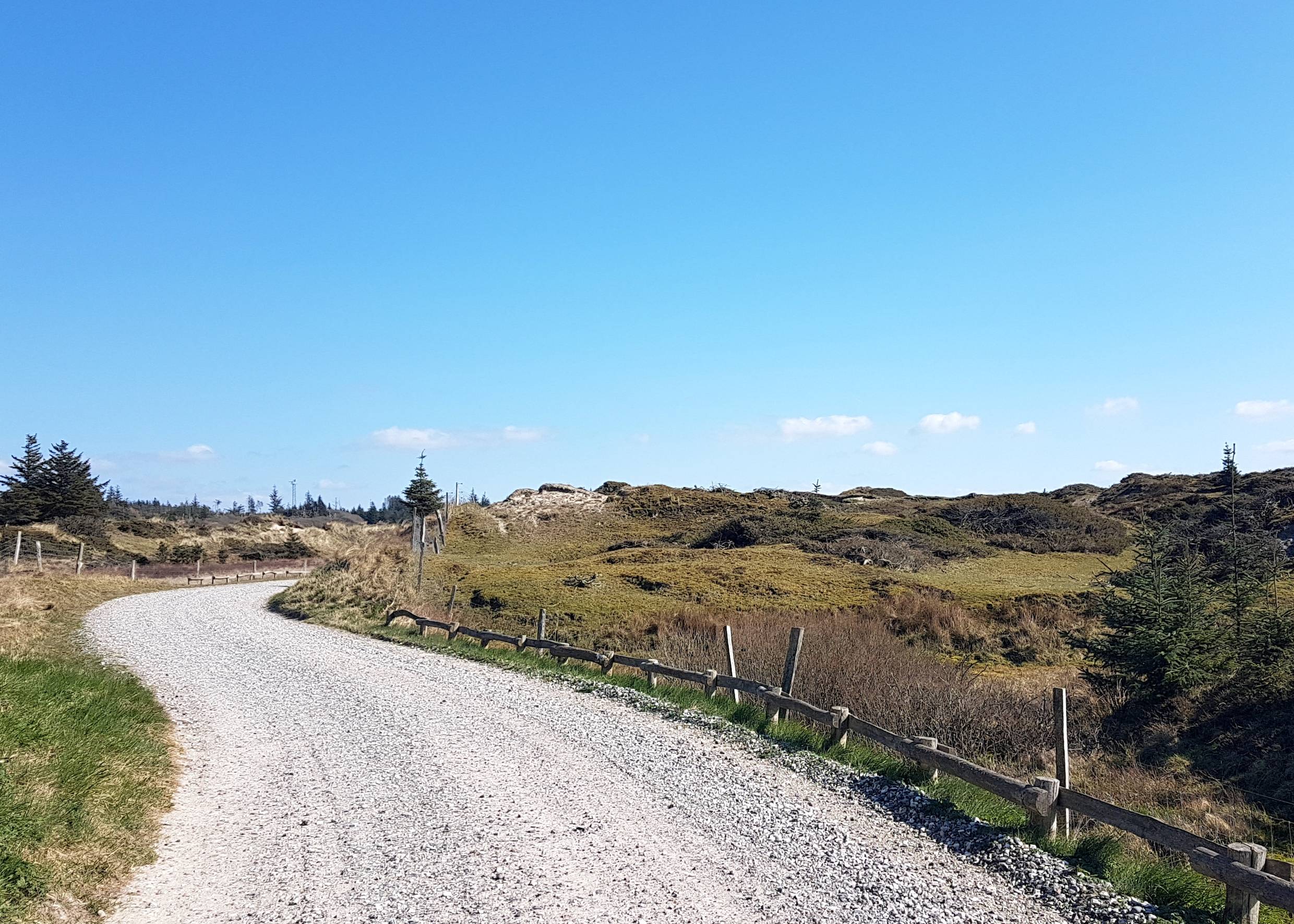 Schotterweg zwischen hügeligen Heideflächen