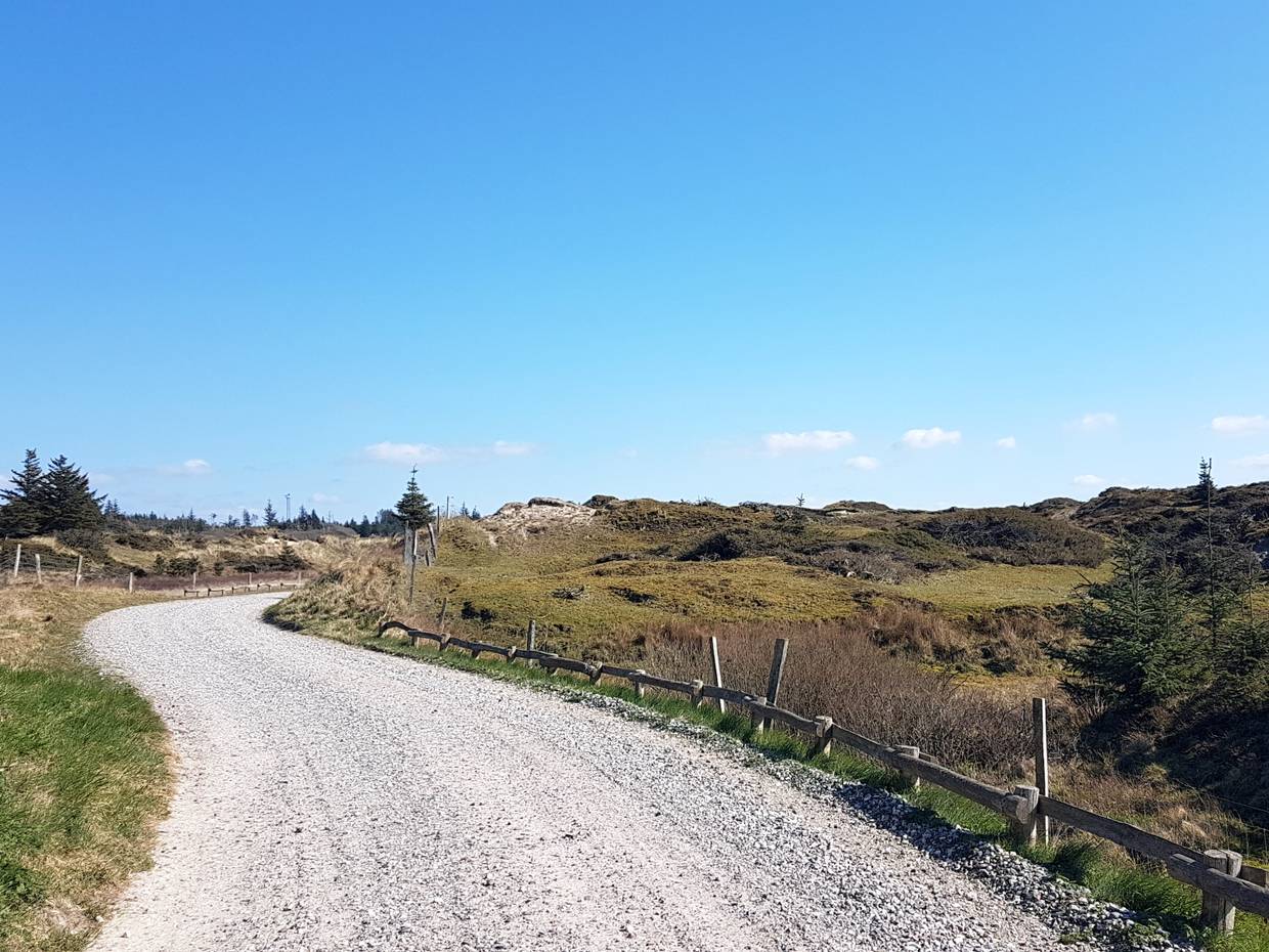 Schotterweg zwischen hügeligen Heideflächen