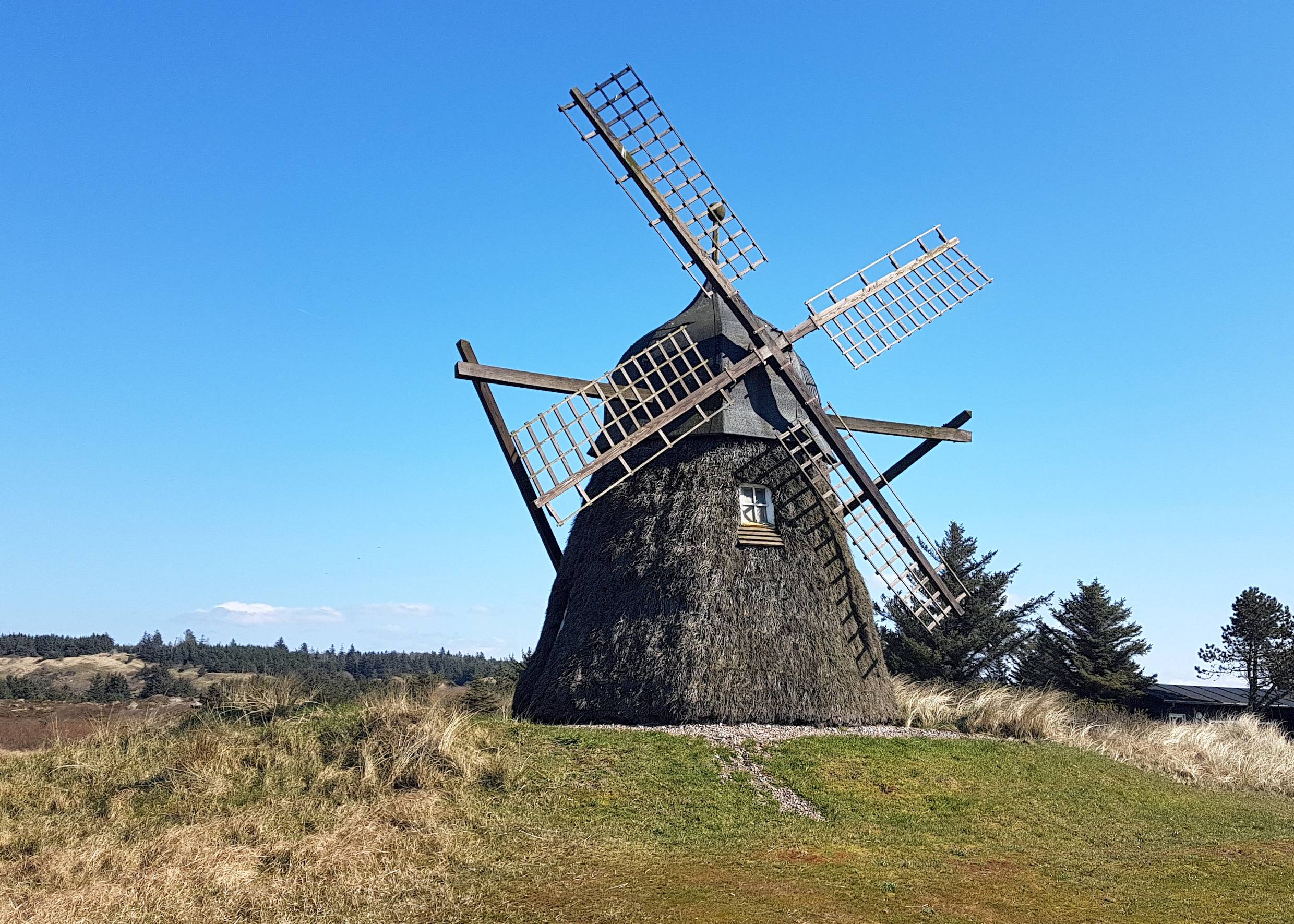 Mit grauen Reisig verkleidete Windmühle