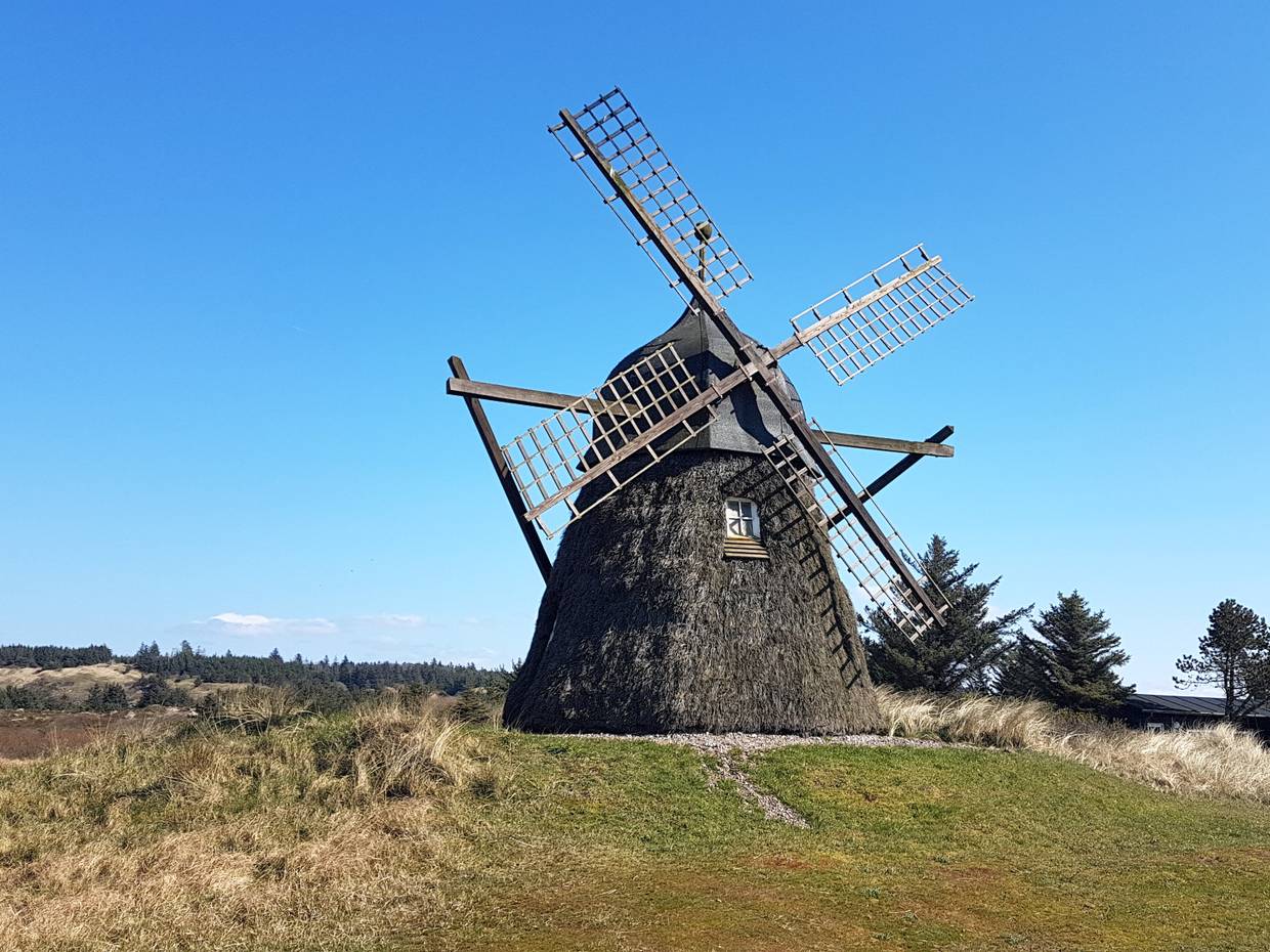 Mit grauen Reisig verkleidete Windmühle