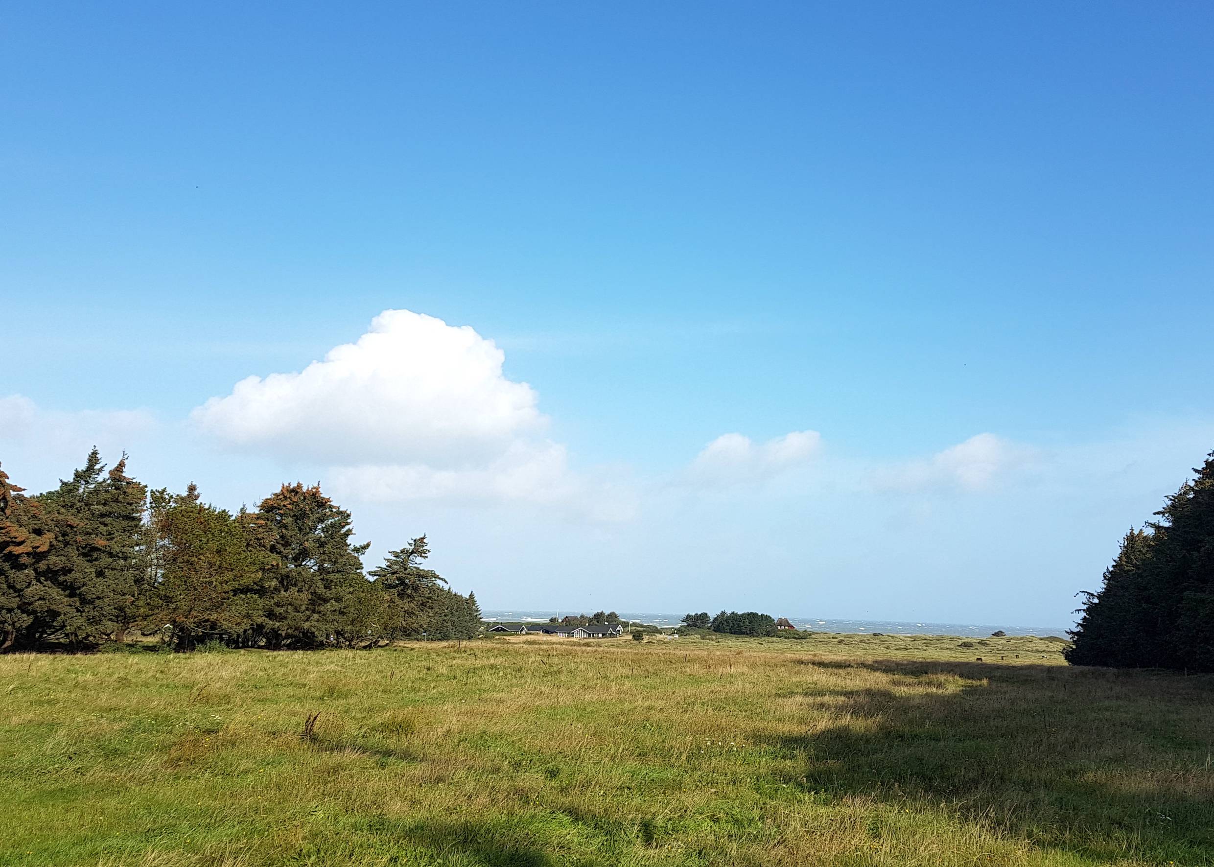 Blick über eine Wiese zum Meer, in der Ferne einige Ferienhäuser