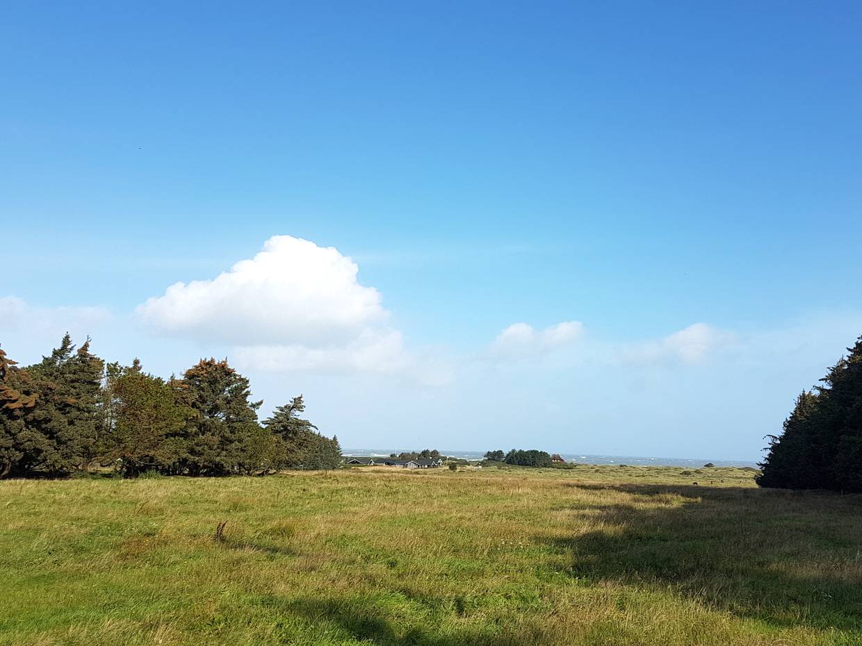 Blick über eine Wiese zum Meer, in der Ferne einige Ferienhäuser