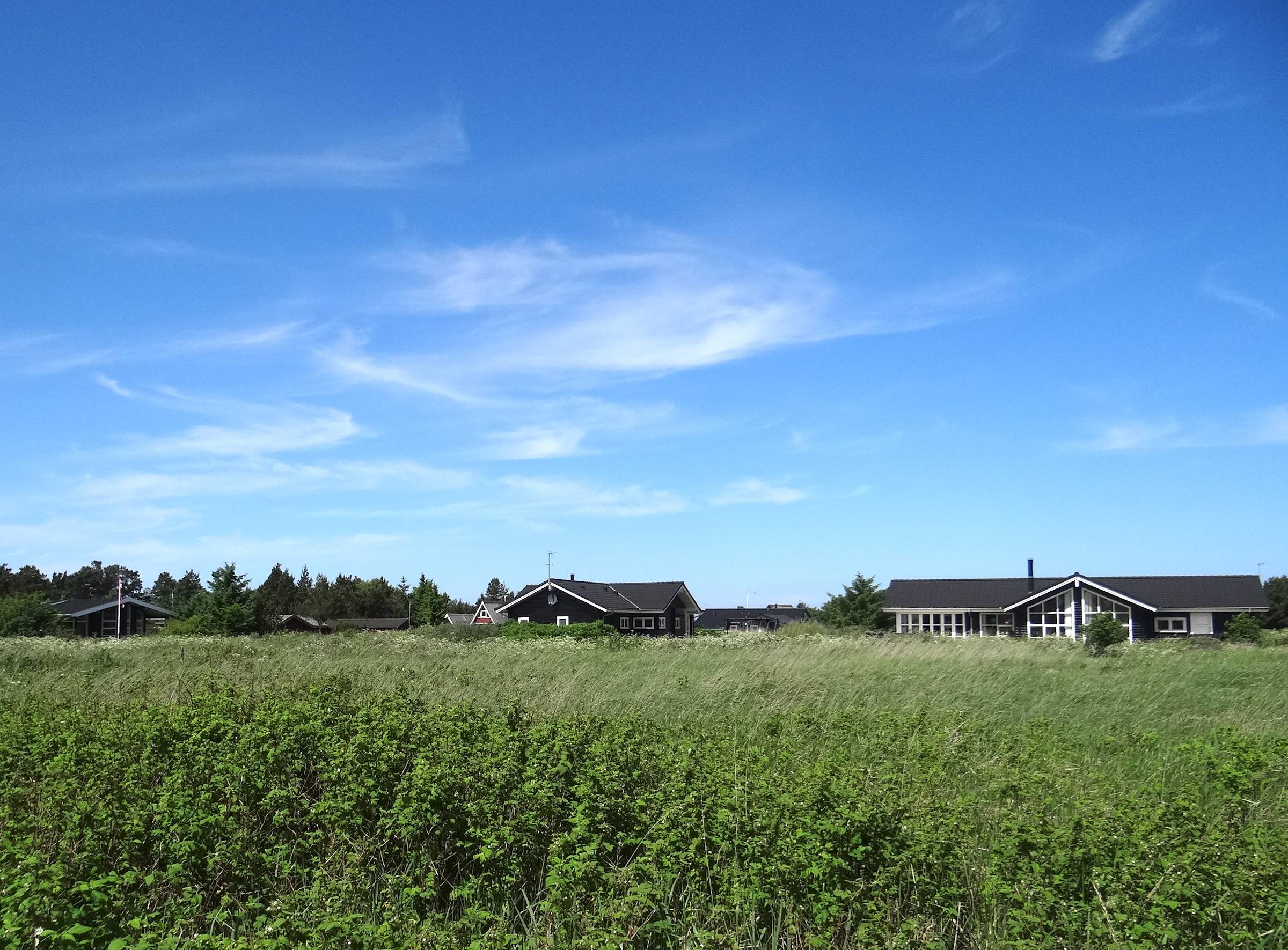 Ferienhäuser hinter blühenden Kräutern am Wegrand
