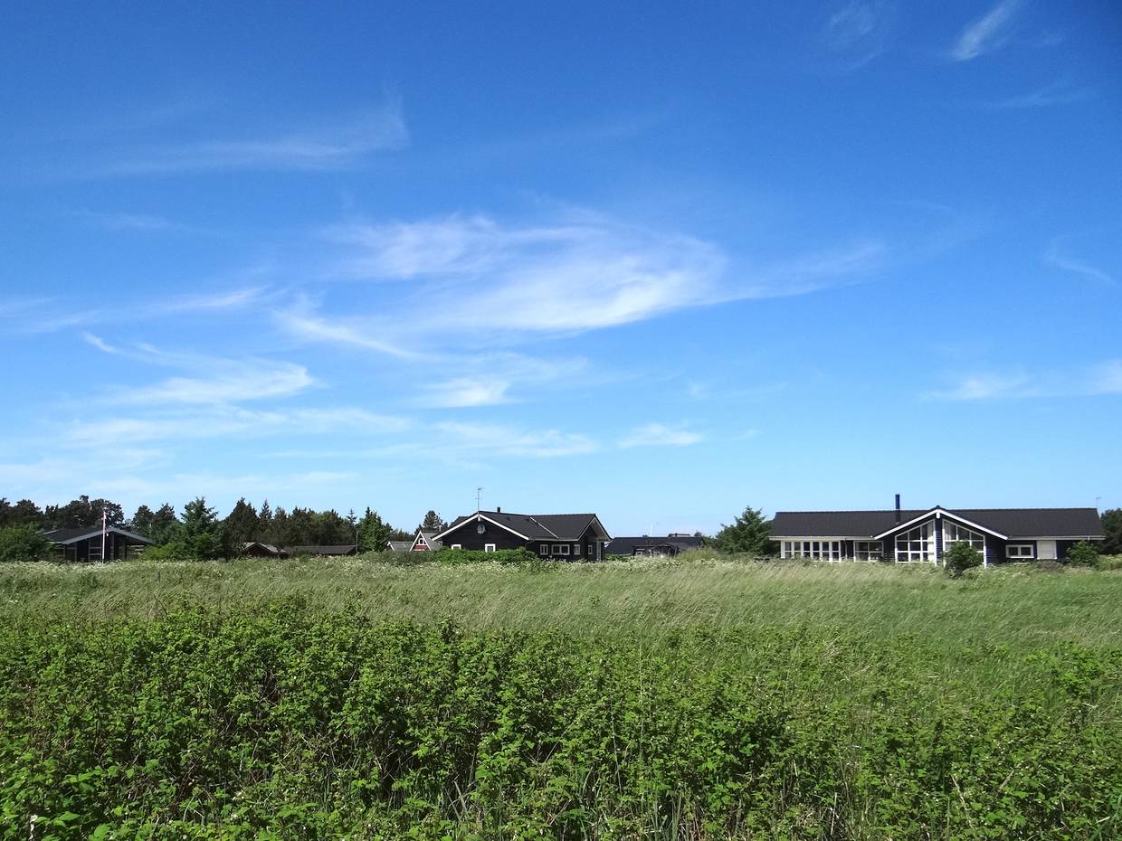 Ferienhäuser hinter blühenden Kräutern am Wegrand