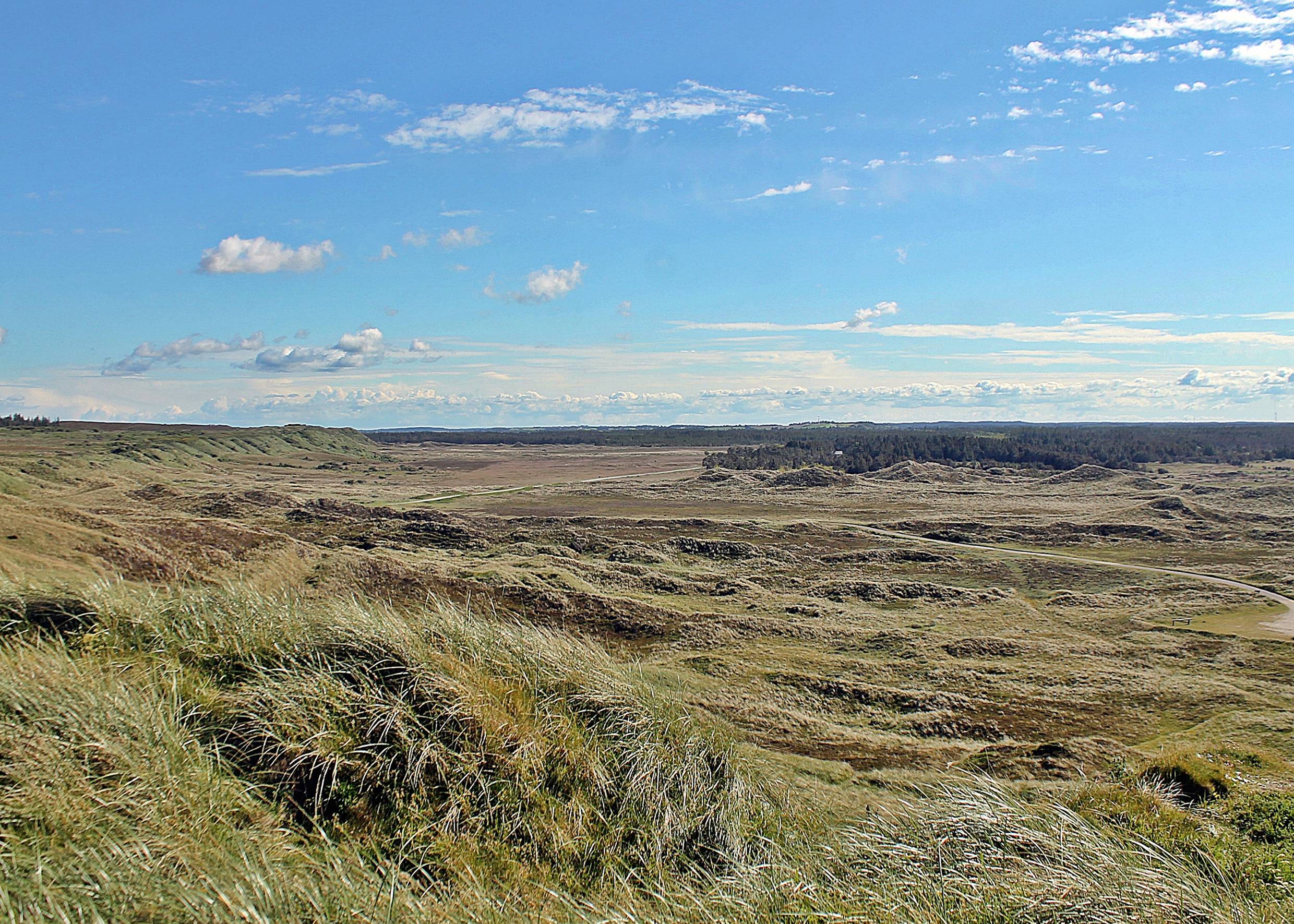 Blick über eine grüne, leicht hügelige Landschaft 