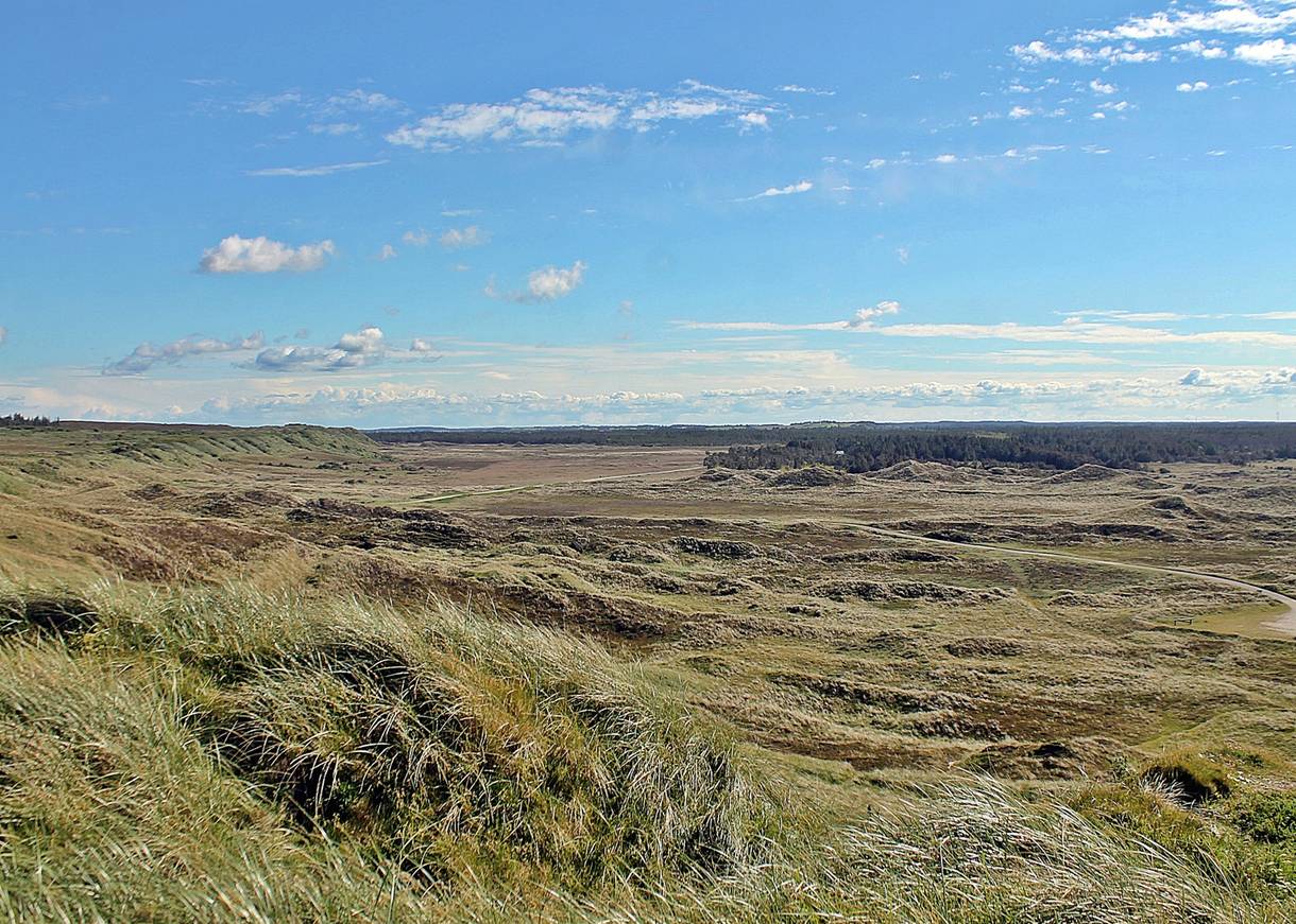 Blick über eine grüne, leicht hügelige Landschaft 