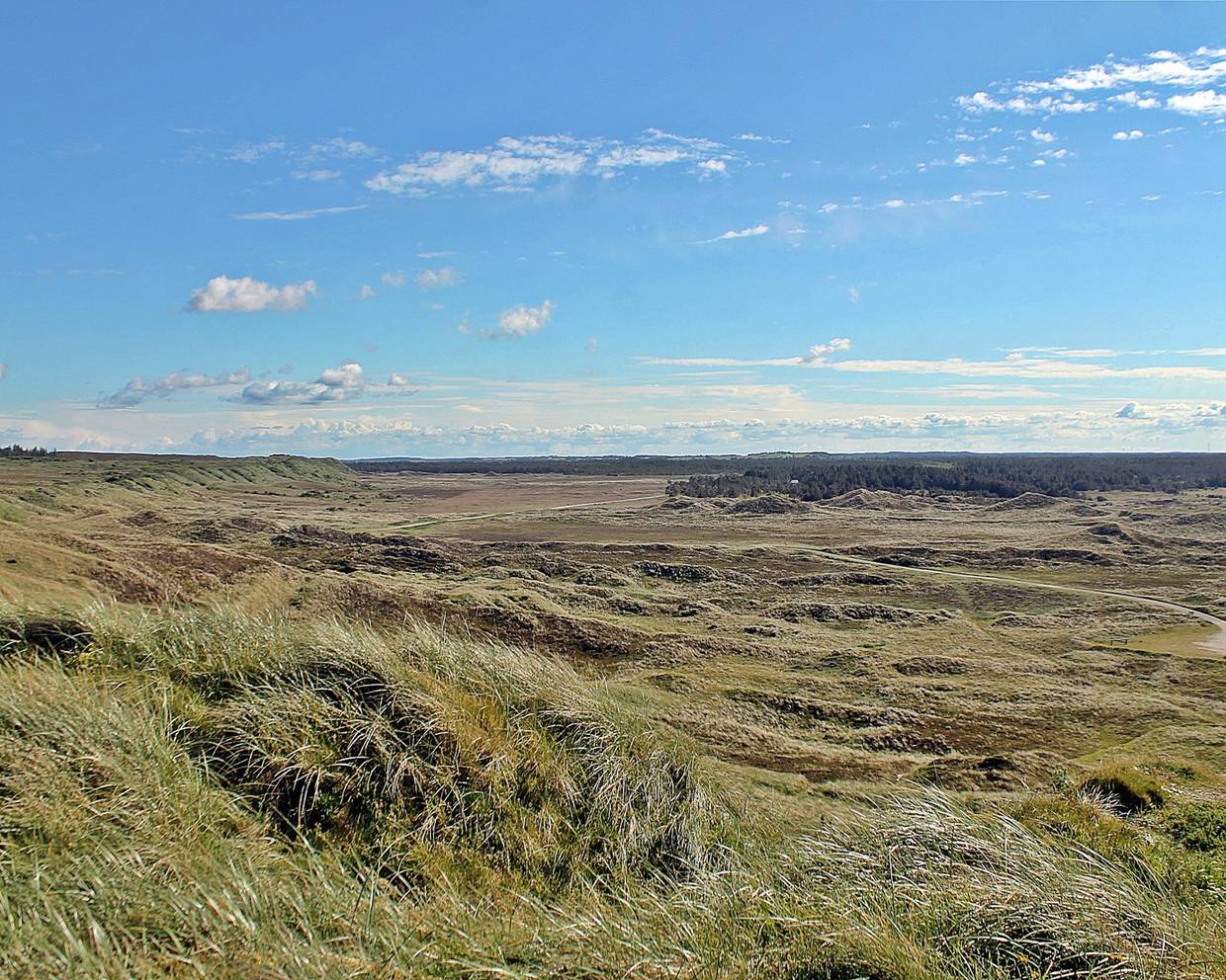 Blick über eine grüne, leicht hügelige Landschaft 