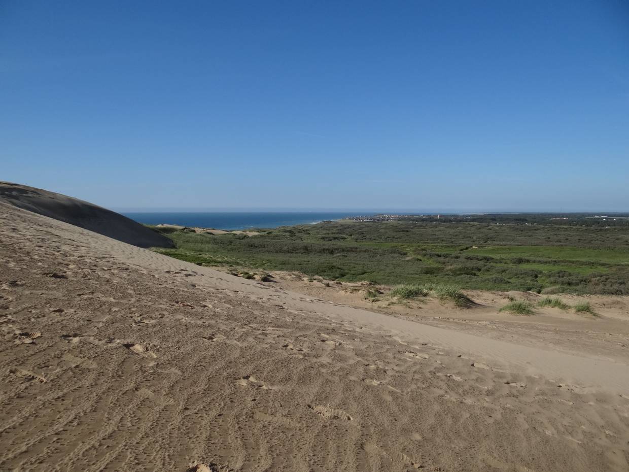 Ausläufer der Düne zum Wald hin