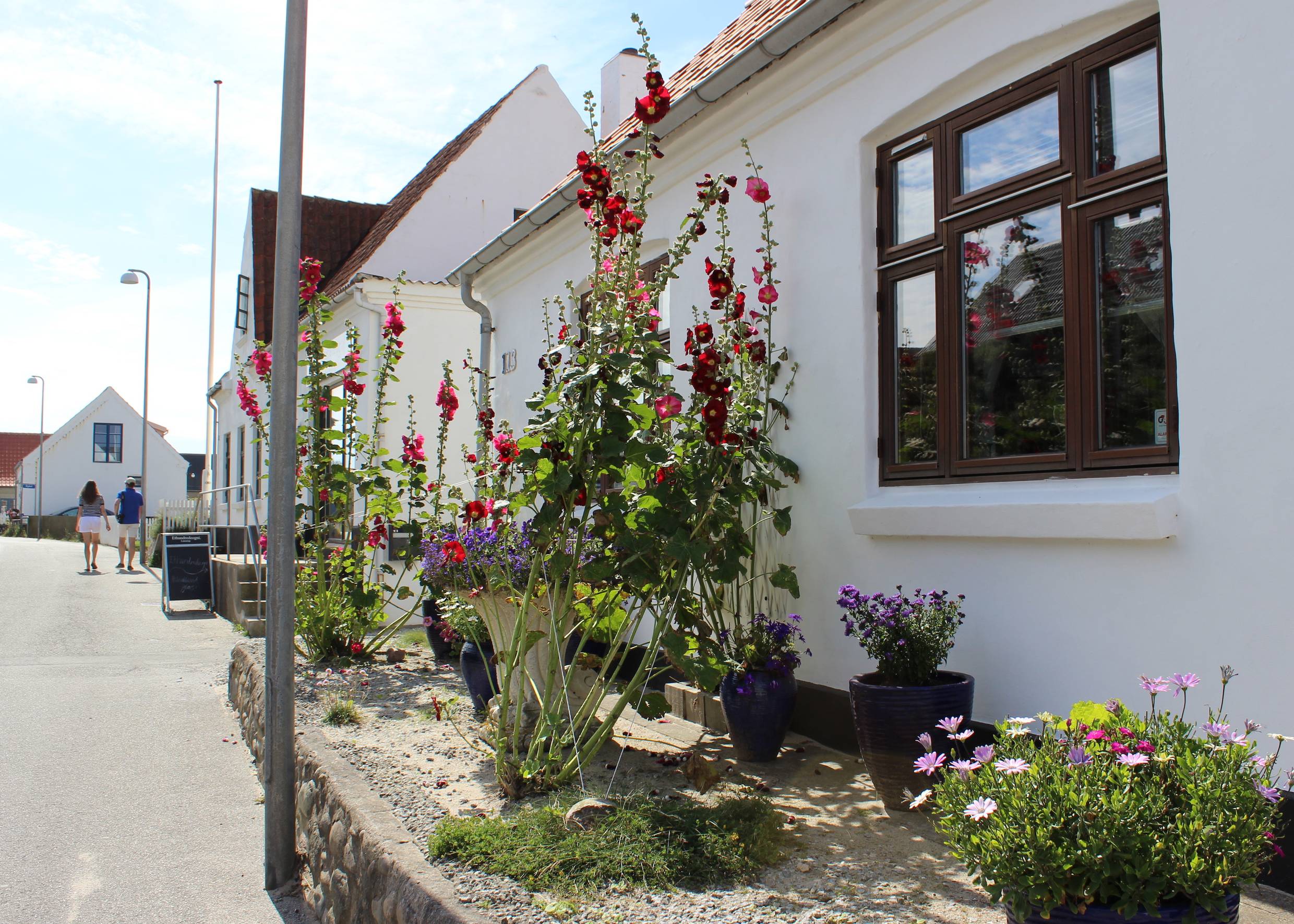 Stockrosen vor einem Haus an der Straße