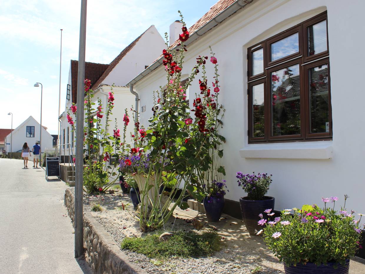 Stockrosen vor einem Haus an der Straße