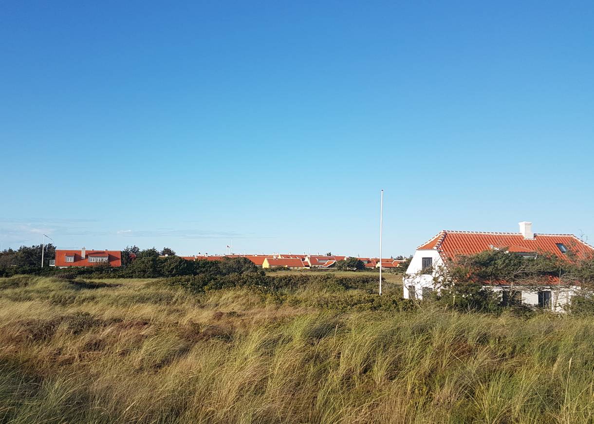 Aussicht über Strandhaferwiesen mit vereinzelten Häusern