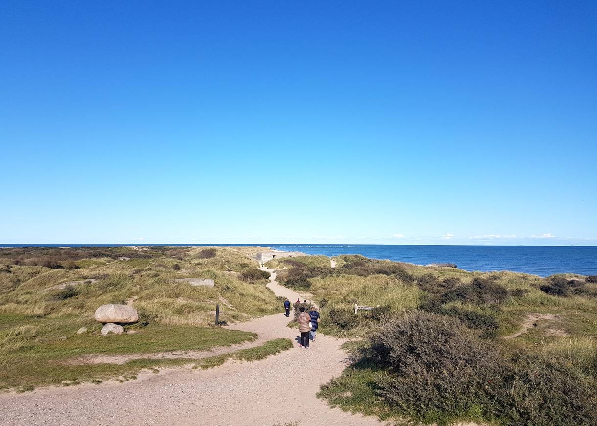Spaziergänger auf einem Weg in den Dünen am Meer