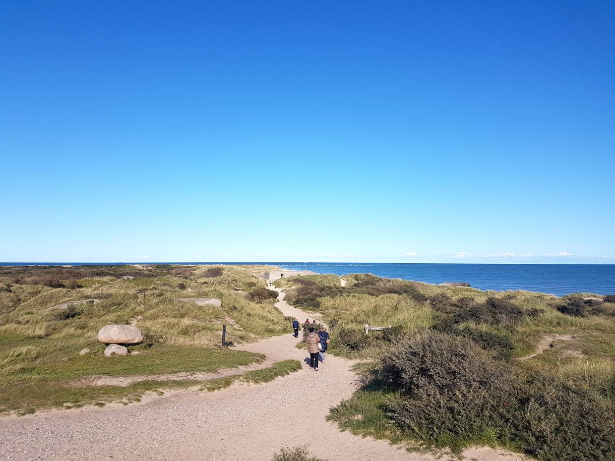 Spaziergänger auf einem Weg in den Dünen am Meer