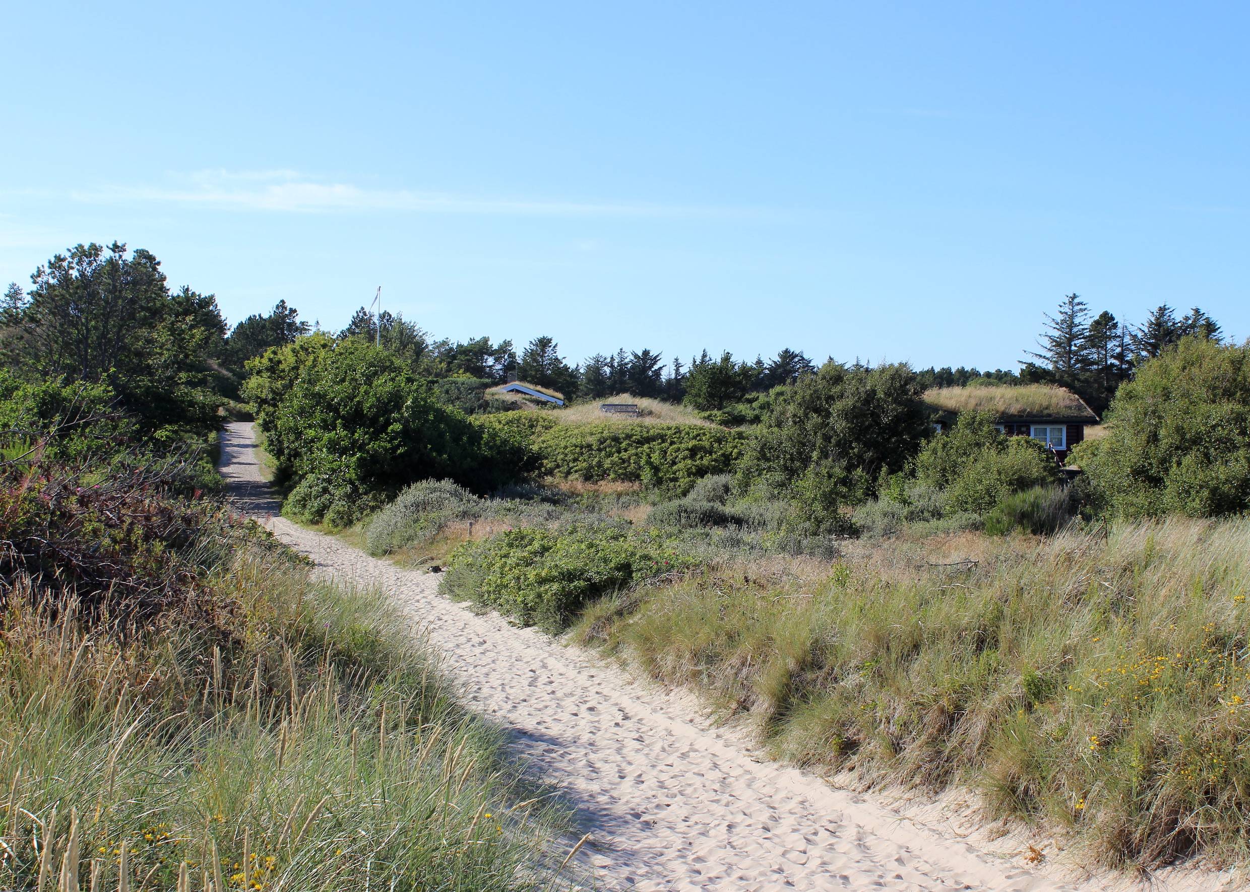 Schmaler Sandweg zwischen Strandhafer und versteckten Ferienhäusern