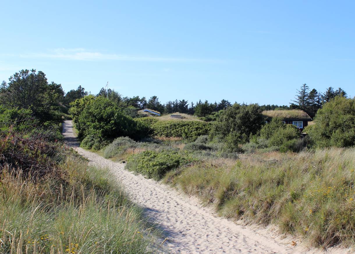 Schmaler Sandweg zwischen Strandhafer und versteckten Ferienhäusern