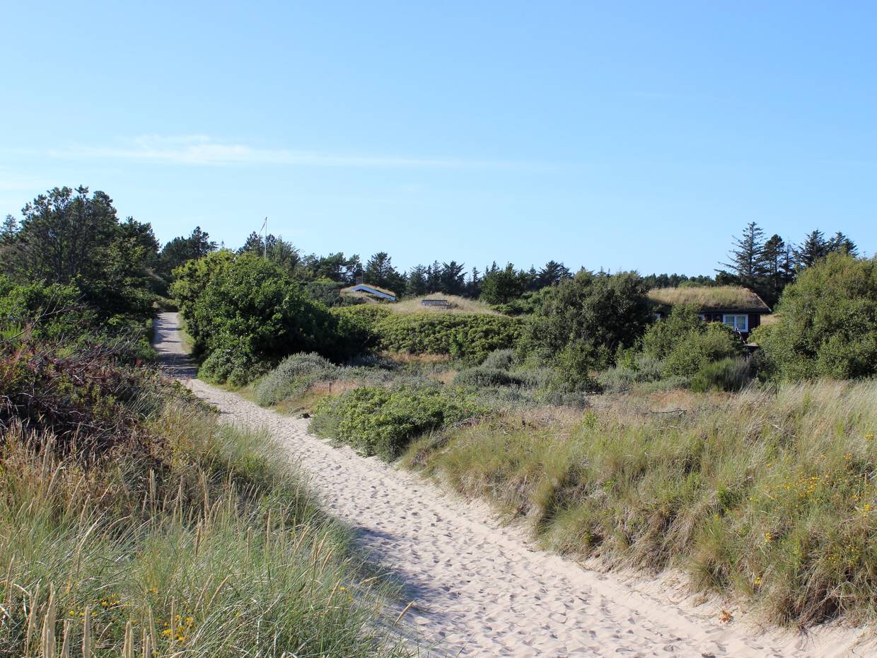 Schmaler Sandweg zwischen Strandhafer und versteckten Ferienhäusern