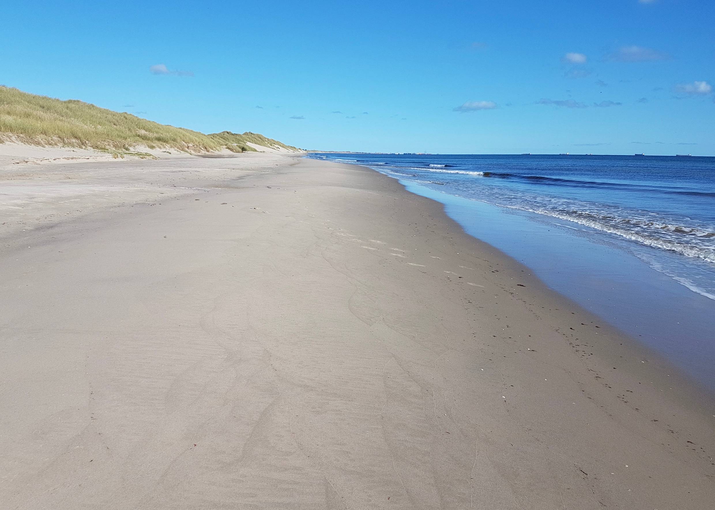 Feiner Sandstrand vor eine flachen Düne an der Ostseeküste