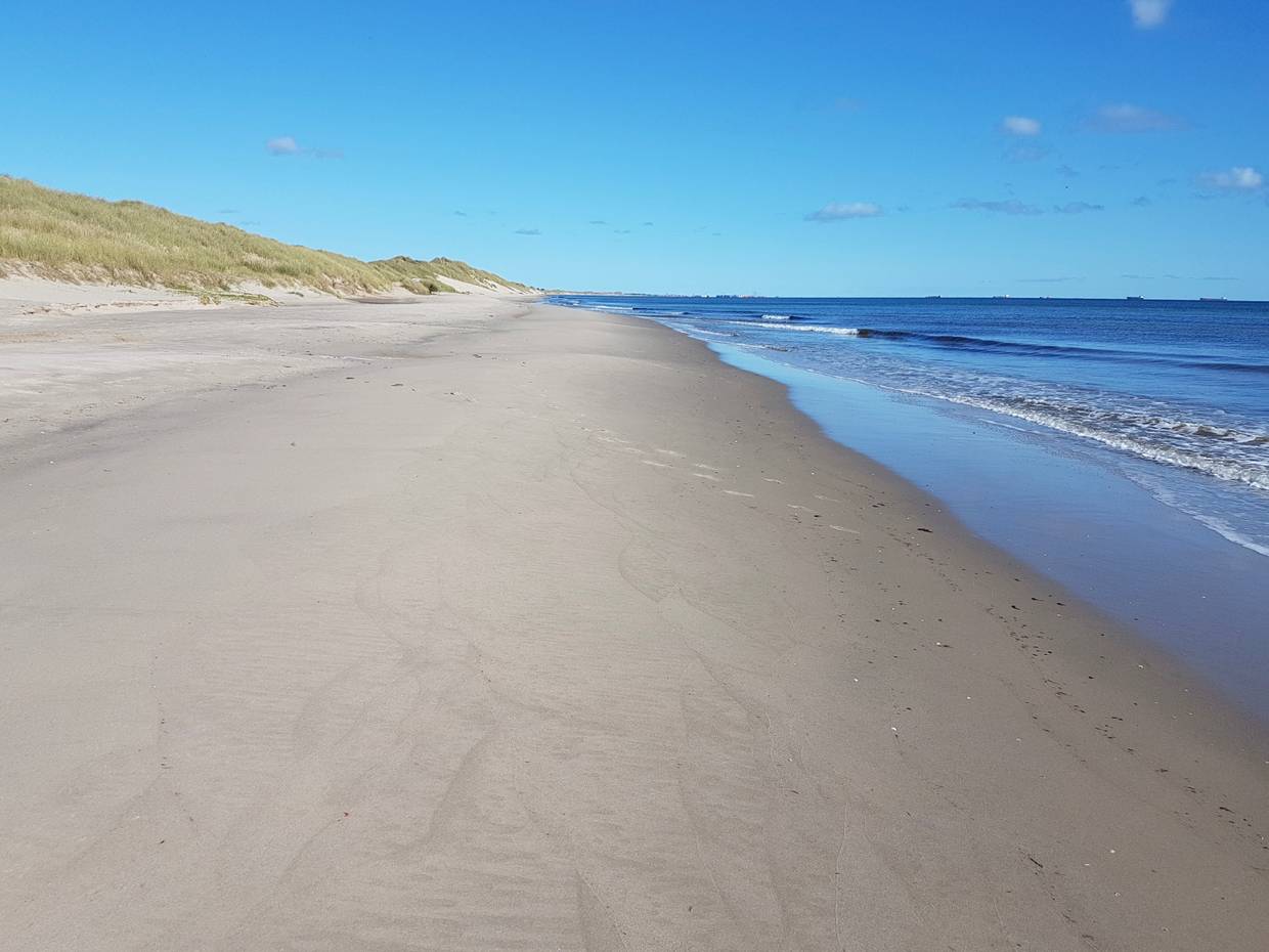 Feiner Sandstrand vor eine flachen Düne an der Ostseeküste