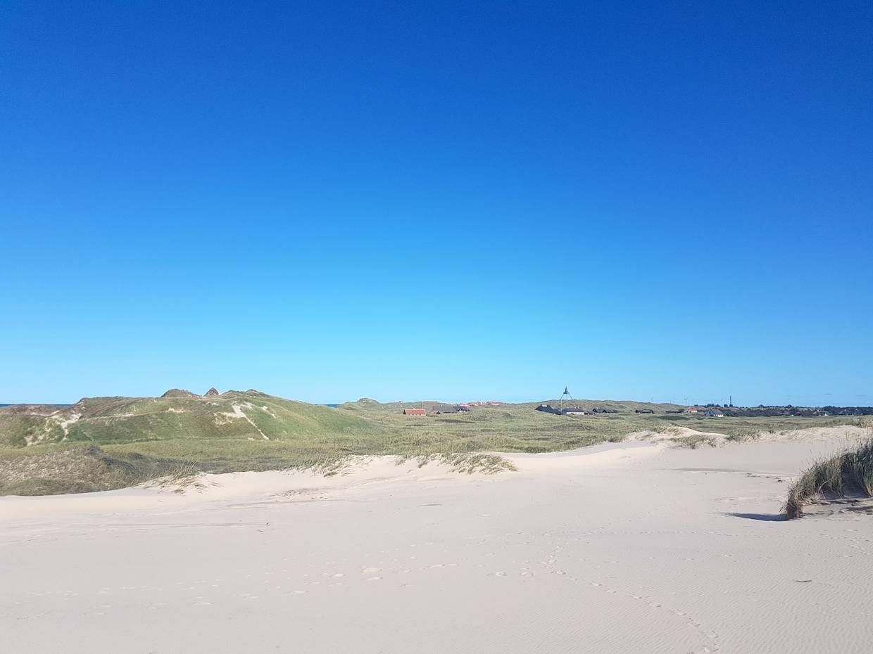 Blick über Sanddünen und Grünflächen auf Skagen