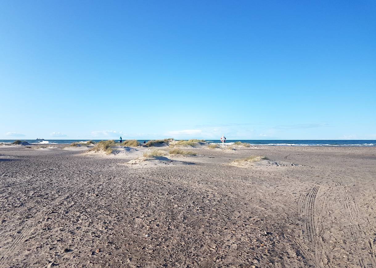 Blick auf einen steinigen Strand mit einem Rettungsring und kleinen Sandhügeln