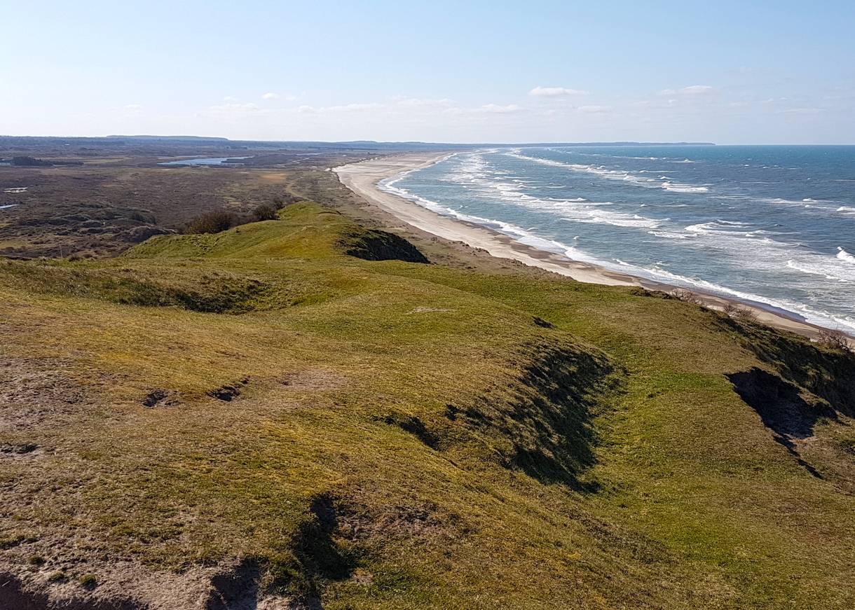 Aussicht von einer grünen Hügellandschaft auf eine langgezogene Nordseebucht