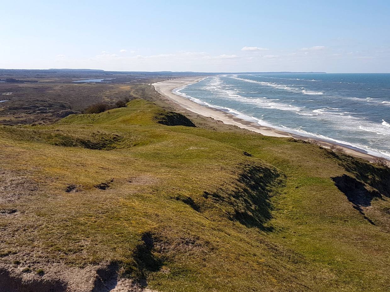 Aussicht von einer grünen Hügellandschaft auf eine langgezogene Nordseebucht