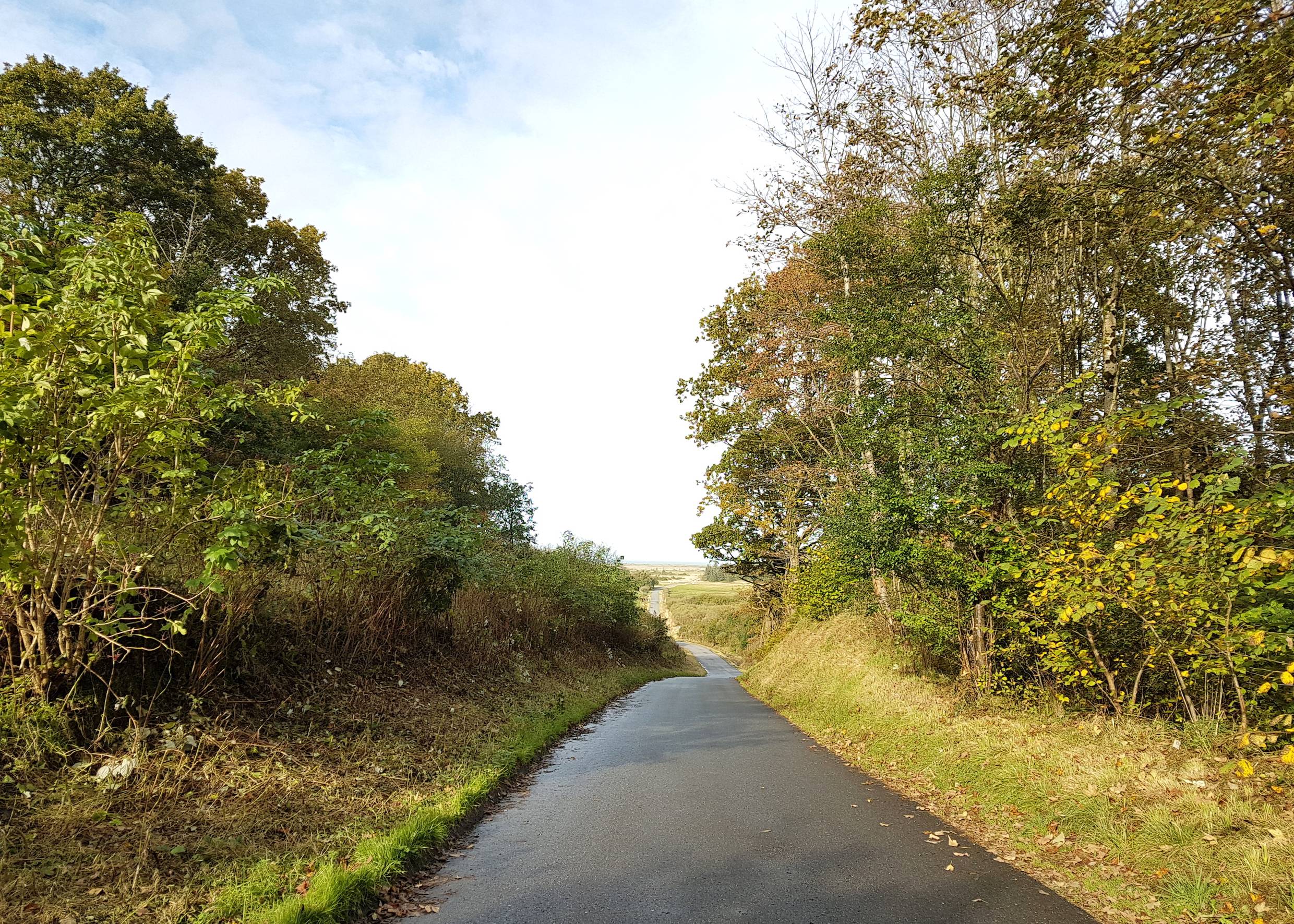 Schmale Straße zwischen Laubbäumen
