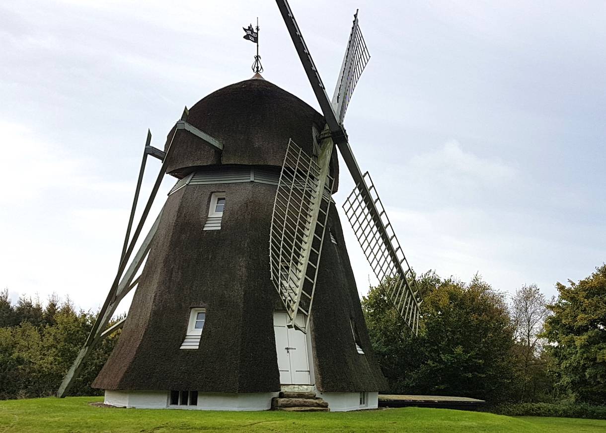 Die reetverkleideste Holländerwindmühlevon Oxholm