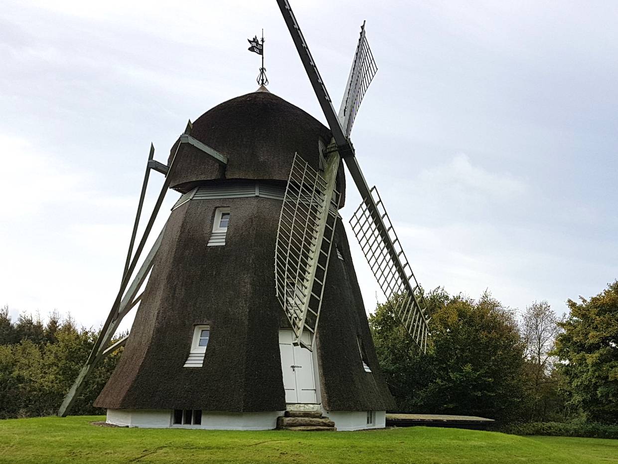 Die reetverkleideste Holländerwindmühlevon Oxholm