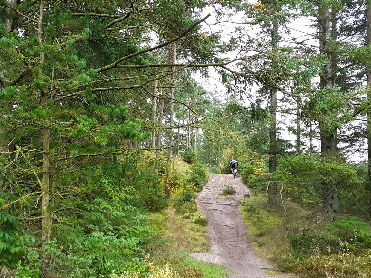 Schmaler Waldweg am Hang mit Radfahrern zwischen den Bäumen