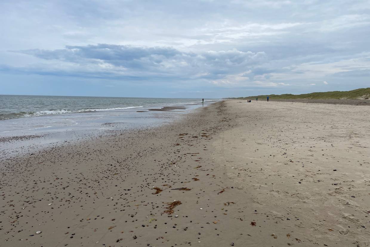 Foto von Tranum Strand