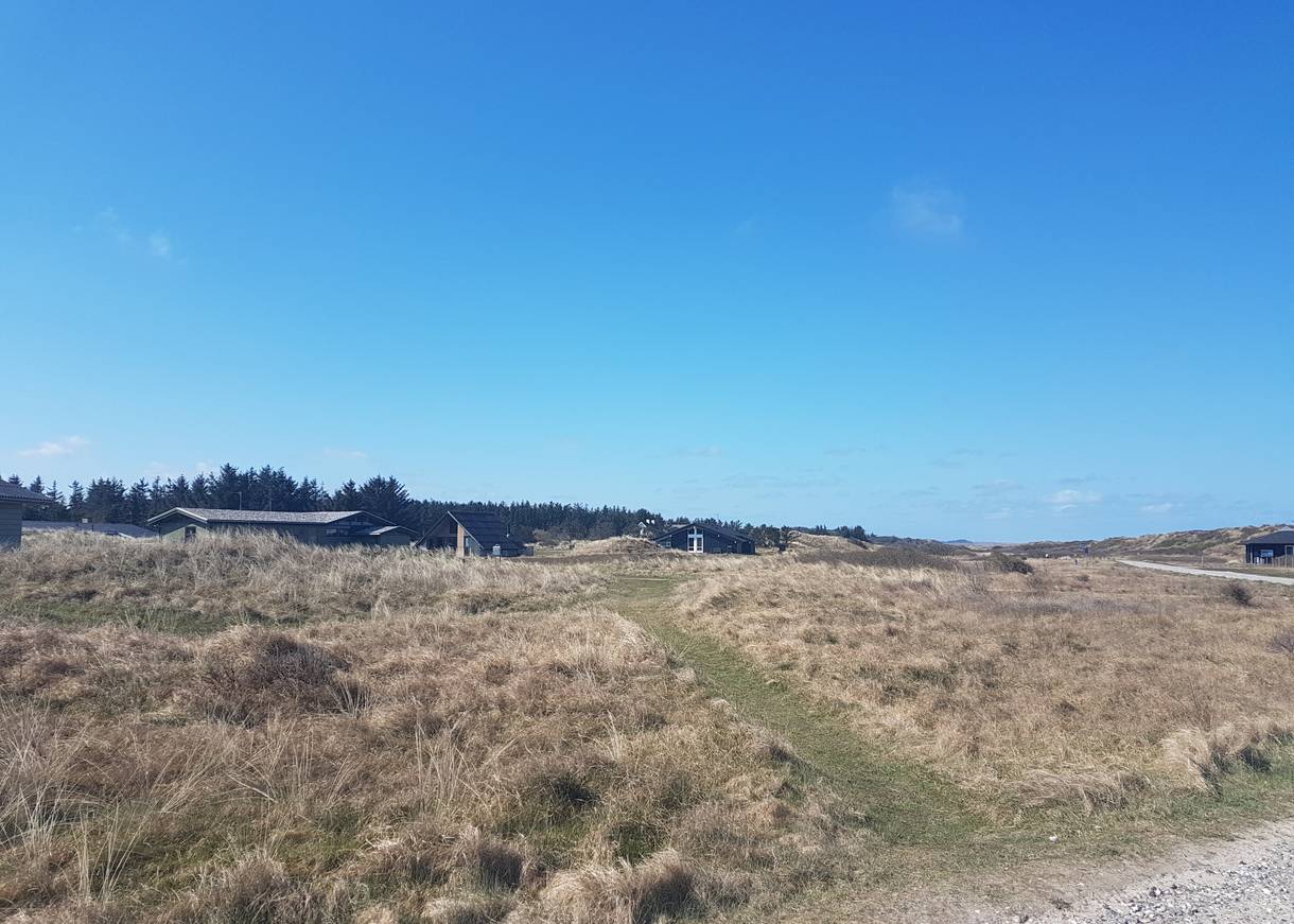 Ferienhäuser vor flachen Dünen